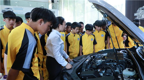 江西有多少汽车学校学生 江西有多少汽车学校学生