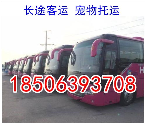 房县到东莞汽车多少钱 房县到东莞汽车多少钱