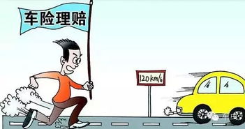 汽车全险是多少 汽车全险是多少