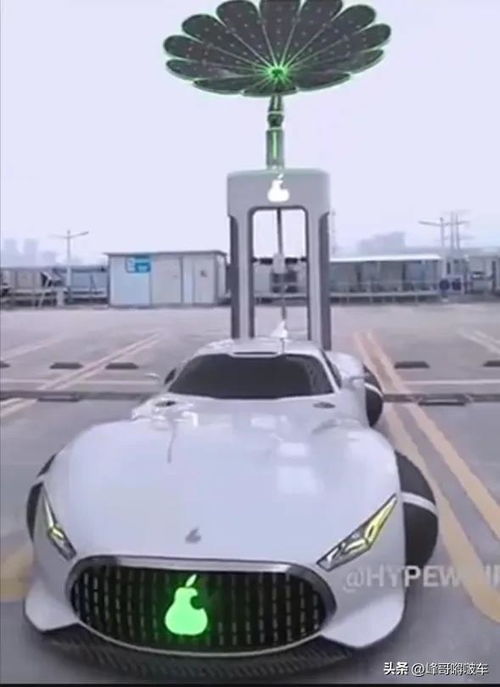 汽车空间能放多少水果 汽车空间能放多少水果