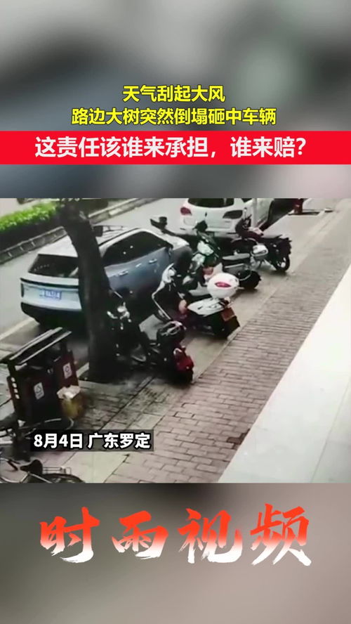 极端大风下车辆被树砸中 谁赔? 极端大风下车辆被树砸中 谁赔?