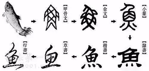 原来小动物就是行走的甲骨文 原来小动物就是行走的甲骨文