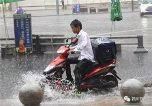 四川一地遭冰雹袭击 居民:吓得腿发抖 四川一地遭冰雹袭击 居民:吓得腿发抖