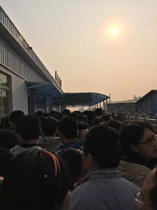 多个景区拥挤程度堪比超市发鸡蛋 多个景区拥挤程度堪比超市发鸡蛋