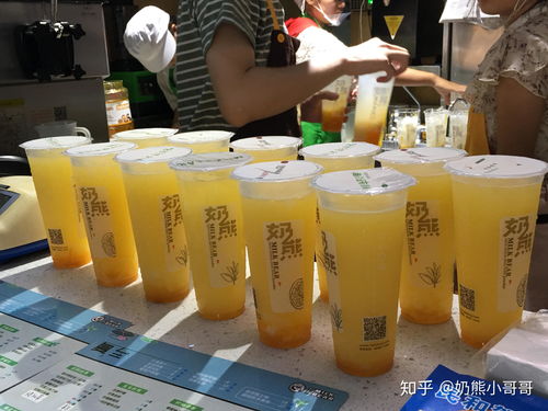 三头熊夜闯奶茶店 扛出一桶油喝光 三头熊夜闯奶茶店 扛出一桶油喝光