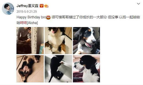 孕妇被狗咬 主人称狗咬的让狗道歉