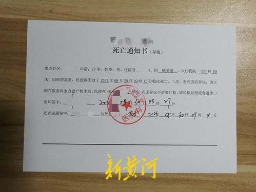 为证明我爸是我爸 我将奶奶告上法庭 为证明我爸是我爸 我将奶奶告上法庭
