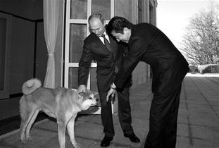 普京:乌克兰像抓狗一样在街头征兵 普京:乌克兰像抓狗一样在街头征兵