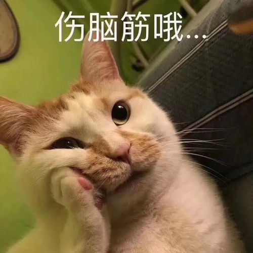 给导师误发了二十多分钟表情包 给导师误发了二十多分钟表情包