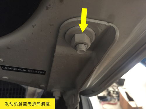 汽车全车多少螺丝多少线(汽车全车螺丝与线路数量解析) 汽车全车多少螺丝多少线(汽车全车螺丝与线路数量解析)