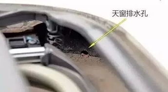 汽车泄水高度多少(汽车泄水孔高度标准解析) 汽车泄水高度多少(汽车泄水孔高度标准解析)