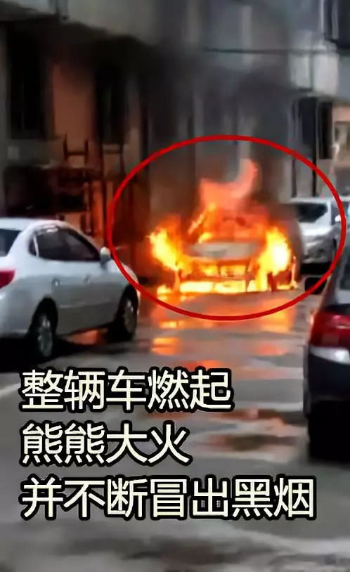 汽车烧多少柴火(汽车烧多少柴火,探究汽车燃料消耗的奥秘) 汽车烧多少柴火(汽车烧多少柴火,探究汽车燃料消耗的奥秘)