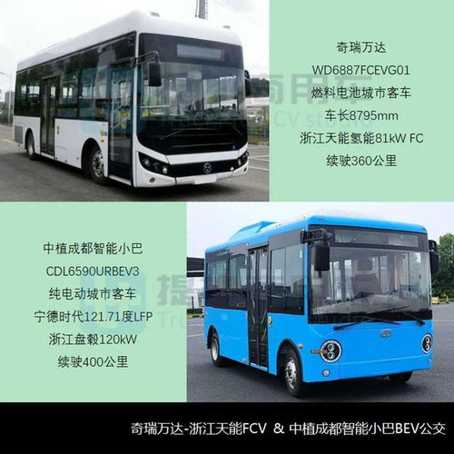江门汽车站多少台汽车(江门汽车站的车辆数量概况) 江门汽车站多少台汽车(江门汽车站的车辆数量概况)