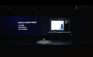 华为电脑录屏模糊怎么调(华为电脑录屏模糊调整指南) 华为电脑录屏模糊怎么调(华为电脑录屏模糊调整指南)