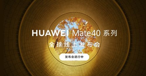 电脑自燃视频华为怎么看(电脑自燃视频与华为的视角,深度探讨与解析) 电脑自燃视频华为怎么看(电脑自燃视频与华为的视角,深度探讨与解析)