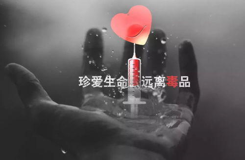 女生喝完酒第二天全身疼调监控傻眼(女生酒后的意外,监控揭示全身疼痛之谜) 女生喝完酒第二天全身疼调监控傻眼(女生酒后的意外,监控揭示全身疼痛之谜)