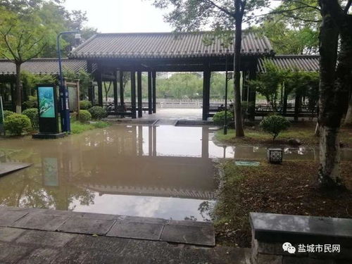 醉白池到汽车站多少钱(醉白池到汽车站的价格与旅途体验)