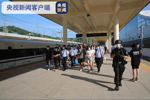 汽车站有多少人去过海关(汽车站与海关,探究人们的出行与跨境经历) 汽车站有多少人去过海关(汽车站与海关,探究人们的出行与跨境经历)