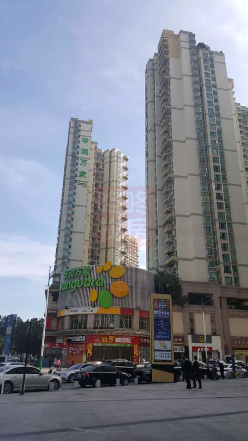 桂城平洲汽车站电话多少(桂城平洲汽车站电话查询及周边配套设施介绍) 桂城平洲汽车站电话多少(桂城平洲汽车站电话查询及周边配套设施介绍)