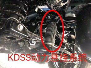 汽车油箱缸换一下多少钱(汽车油箱缸更换费用解析) 汽车油箱缸换一下多少钱(汽车油箱缸更换费用解析)