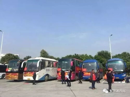 三乡到荔浦汽车站多少钱(三乡到荔浦汽车站的价格详解) 三乡到荔浦汽车站多少钱(三乡到荔浦汽车站的价格详解)