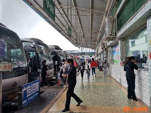 四川仁寿汽车站电话多少(四川仁寿汽车站电话查询及出行指南)
