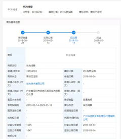 华为电脑充电参数怎么看(华为电脑充电参数详解,如何查看与理解) 华为电脑充电参数怎么看(华为电脑充电参数详解,如何查看与理解)