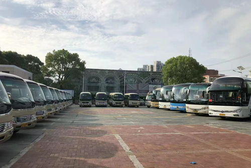 肇州到明水汽车票多少钱(肇州到明水汽车票价详解,费用、路线与旅行建议) 肇州到明水汽车票多少钱(肇州到明水汽车票价详解,费用、路线与旅行建议)