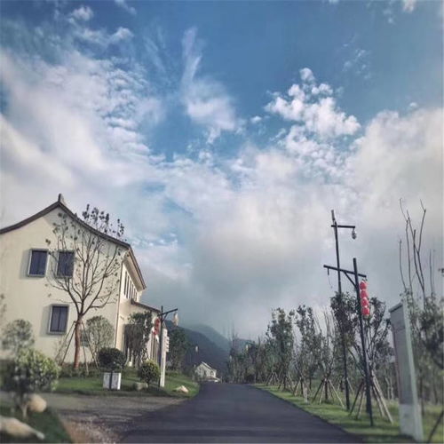 上海汽车厂扫描仪多少钱(上海汽车厂扫描仪价格解析) 上海汽车厂扫描仪多少钱(上海汽车厂扫描仪价格解析)