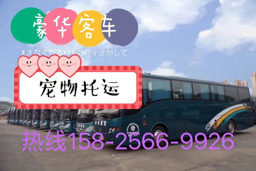 周村到邹城汽车票多少钱(周村到邹城汽车票价详解,费用、路线与行程建议) 周村到邹城汽车票多少钱(周村到邹城汽车票价详解,费用、路线与行程建议)
