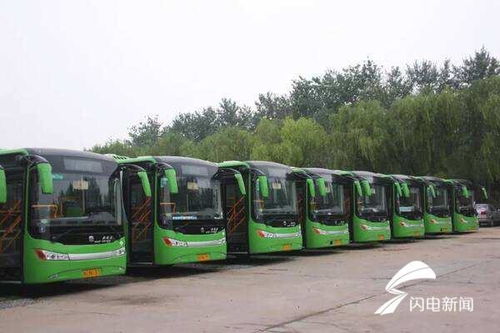 寿光到羊口汽车站多少钱(寿光到羊口汽车站的价格及旅行指南)