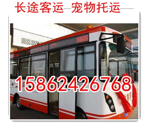 唐河到嘉善汽车票多少钱(唐河至嘉善汽车票价查询,探寻旅程中的费用细节) 唐河到嘉善汽车票多少钱(唐河至嘉善汽车票价查询,探寻旅程中的费用细节)