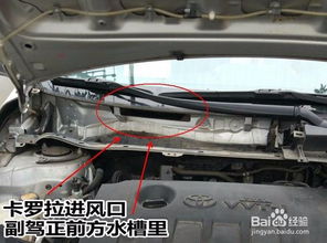 汽车空调进老鼠要多少钱(汽车空调进老鼠维修费用详解,多少钱能解决这一问题? 汽车空调进老鼠要多少钱(汽车空调进老鼠维修费用详解,多少钱能解决这一问题?