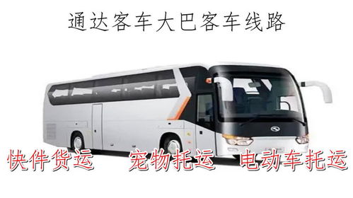 合肥到临泉包汽车多少钱(合肥到临泉包车的费用分析) 合肥到临泉包汽车多少钱(合肥到临泉包车的费用分析)