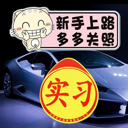 汽车实习标志多少钱一张(汽车实习标志的价格及其重要性) 汽车实习标志多少钱一张(汽车实习标志的价格及其重要性)