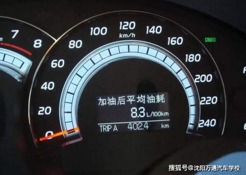多少个油算大排量汽车(多少个油算大排量汽车，探究油耗与排量的关系)