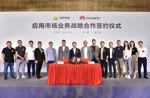 华为视频流入电脑怎么办(华为视频流入电脑怎么办,应对策略与解决方案) 华为视频流入电脑怎么办(华为视频流入电脑怎么办,应对策略与解决方案)