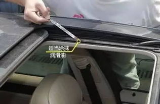汽车门板胶条清洗多少钱(汽车门板胶条清洗费用详解) 汽车门板胶条清洗多少钱(汽车门板胶条清洗费用详解)