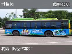 岳阳多少路车到汽车站啊(岳阳多少路车到达汽车站,公共交通指南) 岳阳多少路车到汽车站啊(岳阳多少路车到达汽车站,公共交通指南)