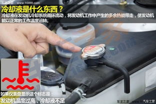 怎样让汽车冷却液加多少(如何正确添加汽车冷却液及其适量控制) 怎样让汽车冷却液加多少(如何正确添加汽车冷却液及其适量控制)
