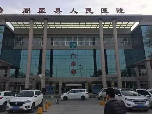 周至到杨陵汽车站多少钱(周至到杨陵汽车站的价格解析) 周至到杨陵汽车站多少钱(周至到杨陵汽车站的价格解析)