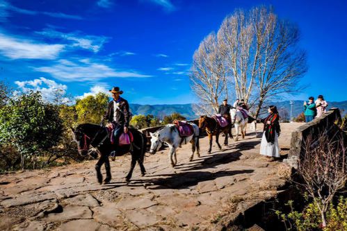 涞镇到西安的汽车多少钱(涞镇至西安汽车票价详解) 涞镇到西安的汽车多少钱(涞镇至西安汽车票价详解)