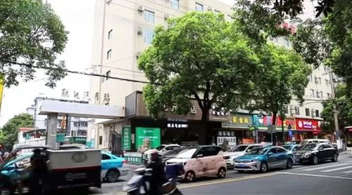岳阳到洞庭汽车站多少钱(岳阳到洞庭汽车站的价格详解) 岳阳到洞庭汽车站多少钱(岳阳到洞庭汽车站的价格详解)