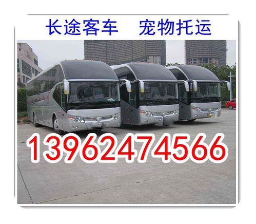 铜陵到灵璧县汽车票多少(铜陵到灵璧县汽车票价详解) 铜陵到灵璧县汽车票多少(铜陵到灵璧县汽车票价详解)
