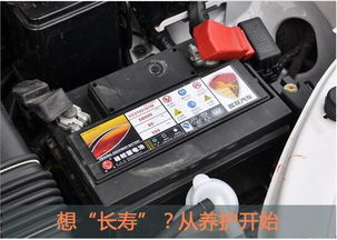 小汽车Q85电瓶多少钱(小汽车Q85电瓶价格解析，市场、规格与成本考量)