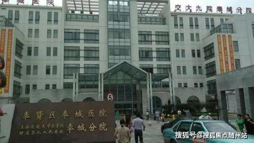 双流金桥汽车站电话多少(双流金桥汽车站电话查询及周边配套服务详解) 双流金桥汽车站电话多少(双流金桥汽车站电话查询及周边配套服务详解)