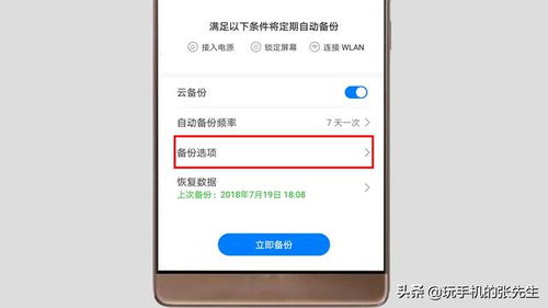 华为电脑云备份怎么弄(华为电脑云备份设置指南) 华为电脑云备份怎么弄(华为电脑云备份设置指南)