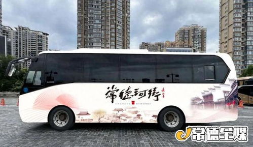 常州到新郑汽车票多少钱(常州到新郑汽车票价详解,费用、路线与旅行建议) 常州到新郑汽车票多少钱(常州到新郑汽车票价详解,费用、路线与旅行建议)