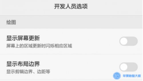 华为电脑怎么设置开发者(华为电脑设置开发者模式的详细步骤) 华为电脑怎么设置开发者(华为电脑设置开发者模式的详细步骤)