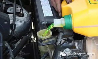汽车防冻液替换油多少钱(汽车防冻液替换油费用解析) 汽车防冻液替换油多少钱(汽车防冻液替换油费用解析)
